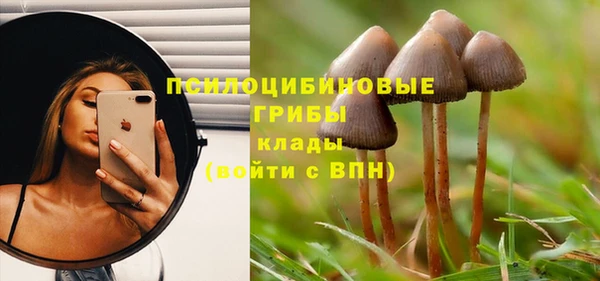 альфа пвп Инсар