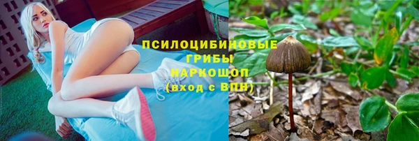альфа пвп Инсар