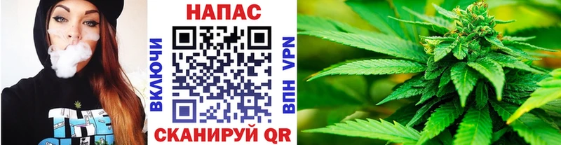 МАРИХУАНА планчик  Купить где  Ветлуга 